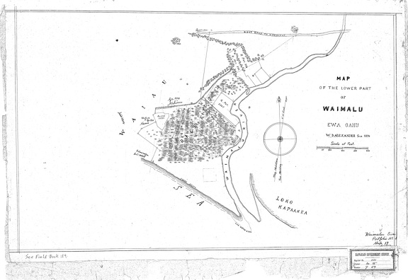 Registered Map 131: Lower Waimalu (1874)